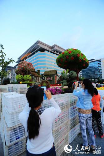 位于長安街沿線的“和諧家園”立體花壇尚未布置完畢，市民游客已在觀賞留影,。