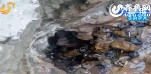 山東聊城徒駭河現(xiàn)“無底洞” 吸干河水致斷流(圖)2