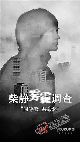 　　紀(jì)錄片《柴靜霧霾調(diào)查：穹頂之下》海報,。