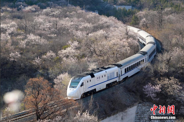 和諧號列車穿越居庸關(guān)花海 被贊開往春天的列車5