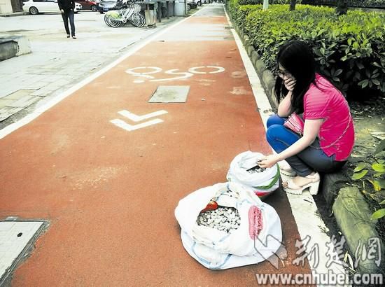 圖為：吳女士想把百余斤硬幣換成整錢，遭多家銀行推托 楚天都市報記者葉茂林攝