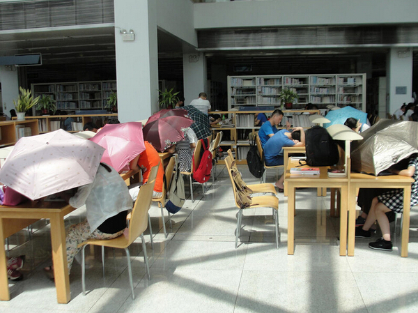 圖書館內(nèi)撐傘讀書的民眾,。
