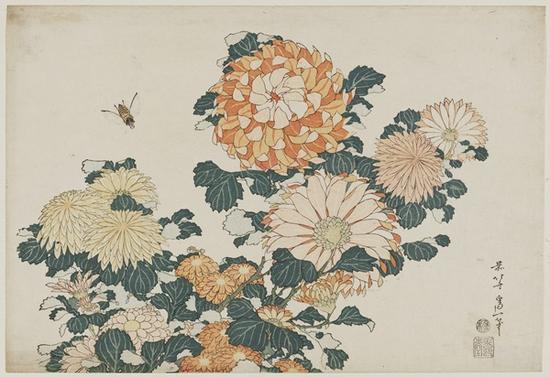《菊花和馬蠅》,出自未命名的大型花卉系列 作者:葛飾北齋,,年份:約1833-34年(Tenp? 4–5) 類別:浮世繪,;紙本彩墨* William Sturgis Bigelow Collection* 圖片: ? Museum of Fine Arts, Boston