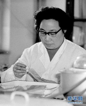這是20世紀(jì)80年代初，任中醫(yī)研究院中藥研究所副研究員的屠呦呦在進(jìn)行科研工作,。