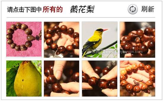 驗(yàn)證碼錯(cuò)誤，請看正確答案,！