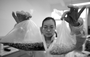 食品袋內(nèi)的方便面加入可樂后產(chǎn)生大量氣泡,，袋子很快膨脹