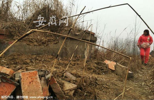 墓地有明顯被挖動的痕跡,。