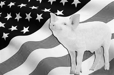 瘦肉精引發(fā)口水戰(zhàn)“英倫”斗法為何拿美豬開刀,？