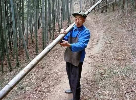 酷斃了,!孫子給85歲爺爺拍了一組街拍照