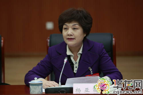提案牽頭單位民建重慶市委介紹提案情況,。