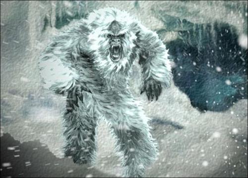 傳說中的喜馬拉雅“雪人”“夜帝”。