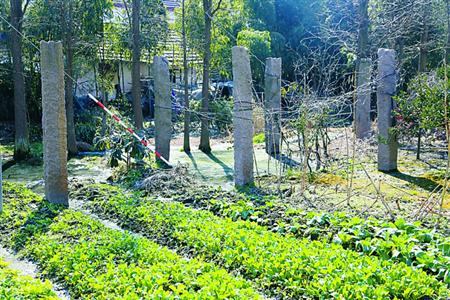 7根石柱引熱議上?；蚴状伟l(fā)現(xiàn)古代私家船坊遺址