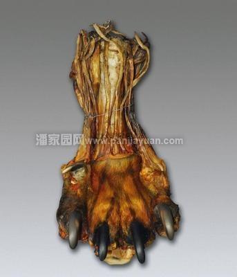 虎骨,、熊骨