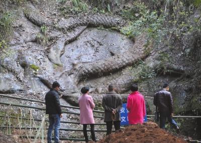 昨天下午,，不少當?shù)厥忻衲矫麃砜词垺＞┤A時報記者陶冉攝