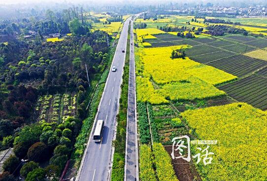 成都雙遺馬拉松開跑 “熊貓”跑友現(xiàn)場(chǎng)求婚
