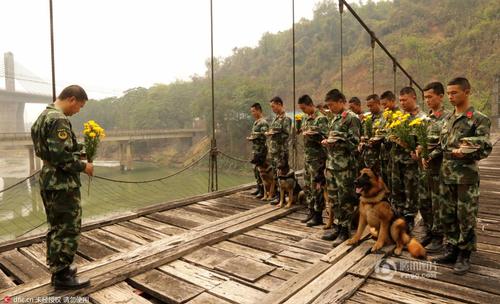 2016年3月29日,，云南瑞麗,，邊防大隊(duì)江橋警犬復(fù)訓(xùn)基地的官兵在警犬墓群前，帶著警犬列隊(duì),，悼念特殊的“警犬戰(zhàn)友”,，敬獻(xiàn)花環(huán)。脫帽,、默哀,、敬禮，簡單的儀式承載了官兵與警犬之間深厚的戰(zhàn)友情誼,。11年來,，這個(gè)基地先后有12頭警犬光榮地完成使命，葬在山頭,。