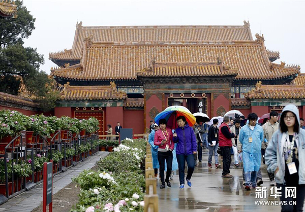 4月12日,，游人在北京故宮觀賞牡丹,。圖片來(lái)源：新華網(wǎng)1