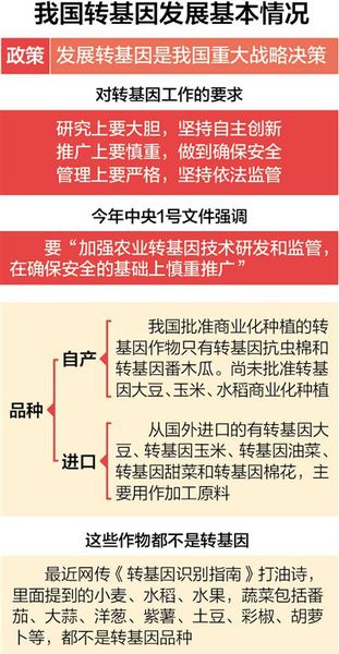 農業(yè)部：轉基因一直嚴格監(jiān)管