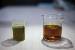 點擊進(jìn)入下一頁