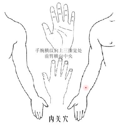 按摩養(yǎng)生穴緩解常發(fā)癥 關(guān)鍵時刻能應(yīng)急