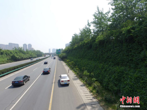 資料圖,。張一辰 攝