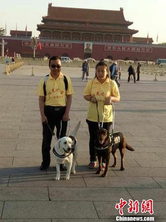 導(dǎo)盲犬引領(lǐng)兩位盲人到天安門(mén)廣場(chǎng)感受升旗儀式,。