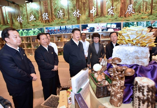 新華社照片,，哈爾濱,，2016年5月25日
    習(xí)近平在黑龍江考察
    5月23日至25日，中共中央總書記,、國家主席,、中央軍委主席習(xí)近平在黑龍江考察調(diào)研。
    這是5月23日上午,，習(xí)近平在伊春市生態(tài)經(jīng)濟(jì)開發(fā)區(qū)規(guī)劃展示廳觀看生態(tài)產(chǎn)品展示,，了解林區(qū)全面停伐后產(chǎn)業(yè)接續(xù)發(fā)展情況。
    新華社記者 李濤 攝