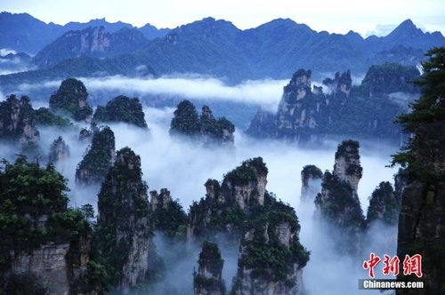 飄渺無形的云海穿梭在連綿峰林間,，奇美無比。1