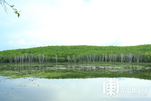 點(diǎn)擊進(jìn)入下一頁(yè)