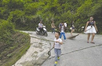 都江堰上百條放生蛇“上街”,，