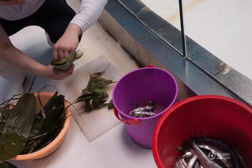 飼養(yǎng)員滿玉忠為了讓海獅過一個快樂的“端午節(jié)”，用許多魚肉做成肉餡,，包在粽子葉里,。