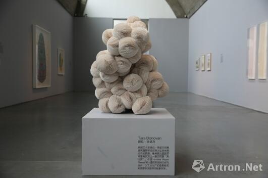 畫廊展覽現(xiàn)場