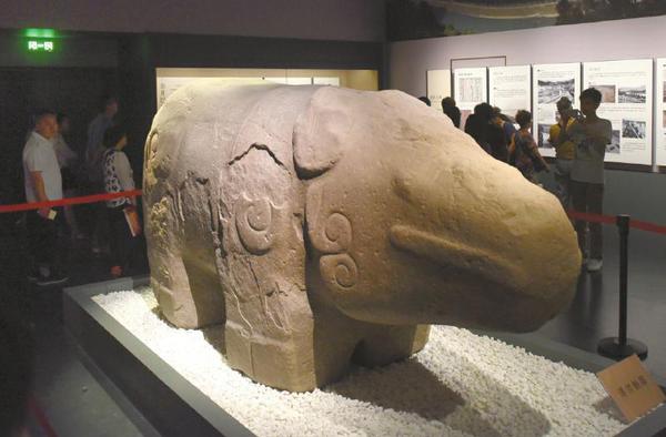 天府廣場出土的石犀牛在展廳與市民見面,。