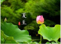今日夏至 夏至之后日常養(yǎng)生有何妙招,？