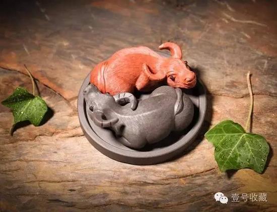 扭轉(zhuǎn)乾坤茶寵