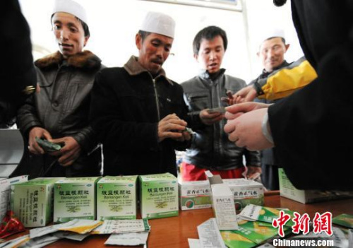 資料圖,。楊艷敏 攝