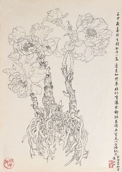 20120315015320465
