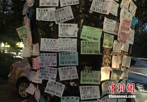 立水橋地鐵站附近張貼漲路邊的租房信息,。<a target='_blank' href='http://www.chinanews.com/' >中新網(wǎng)</a> 馬榕 攝