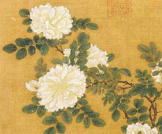 《白薔薇圖頁》 宋,，馬遠,，絹本設色，26.2cm×25.8cm