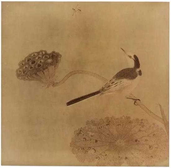 《疏荷沙鳥圖頁》 宋，絹本設色,，縱25cm,，橫25.6cm