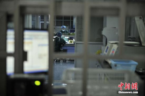 資料圖 中新社記者 陳超 攝