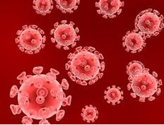 根治HIV等病毒感染 我國科學家取得突破