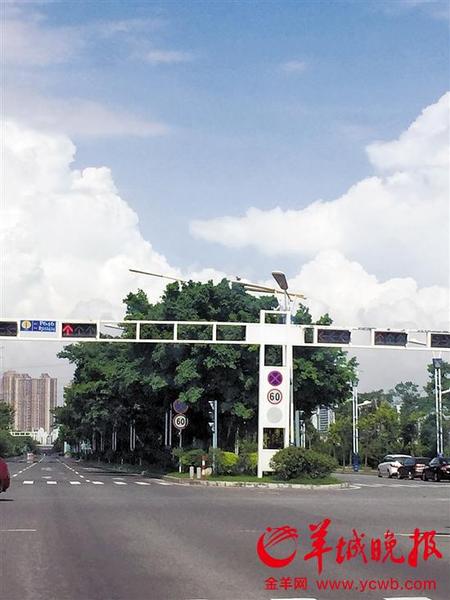 涉事路段亞運大道，路況較好,，限速60公里的標(biāo)識較清楚