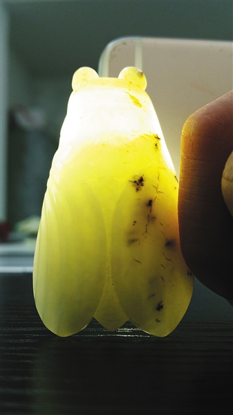 陳作發(fā)收藏的羊脂玉蟬,。
