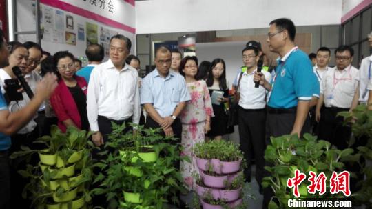 圖為臺灣精致農(nóng)業(yè)技術(shù)展區(qū),。康孝娟 攝