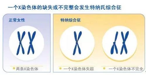 點(diǎn)擊進(jìn)入下一頁