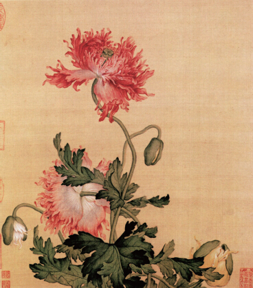 郎世寧 《牡丹》 （清代）