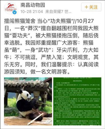 南昌動(dòng)物園補(bǔ)充道,，該男子逃離后未向園方反映情況,，動(dòng)物園檢查之后確認(rèn)美靈沒有受傷或受到驚嚇,。