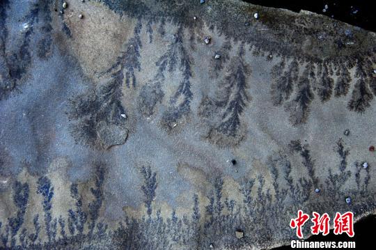 圖為條紋狀般有序排列,、顏色兩頭深中間淺的“巖畫”,。　陳碧生　攝