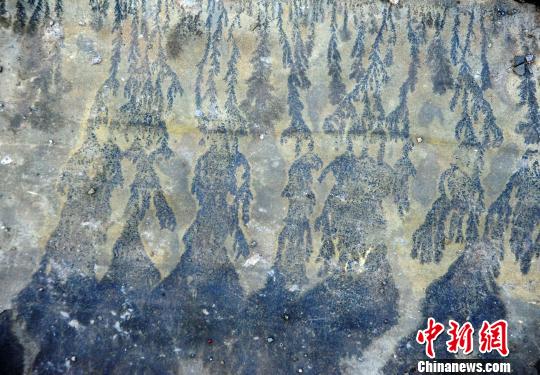 圖為酉陽發(fā)現(xiàn)疑似天然“巖畫”?！￡惐躺?攝